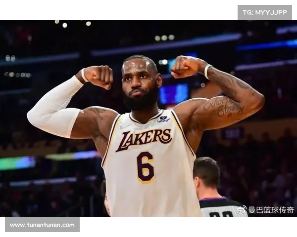 詹姆斯疑似诈伤引热议 NBA分析师坚信老詹故意对抗湖人